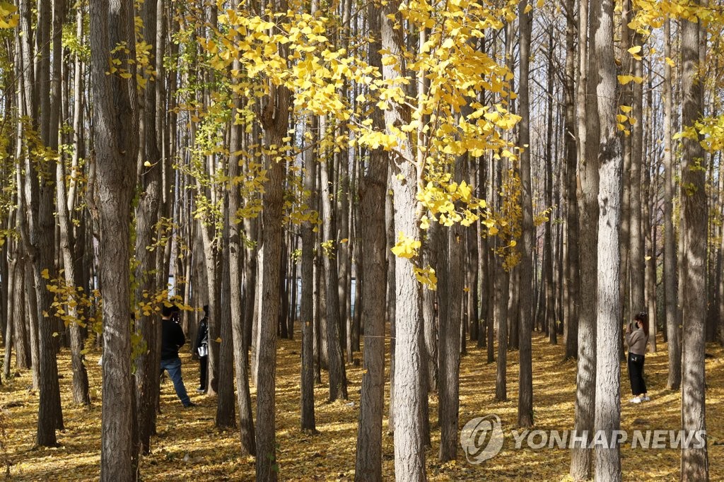 동물에게 배우는 장수의 비결…신간 '동물들처럼'