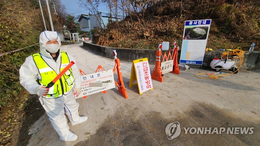 북, 남측 AI·돼지열병 발생 연이어 보도…전염병 유입 경계