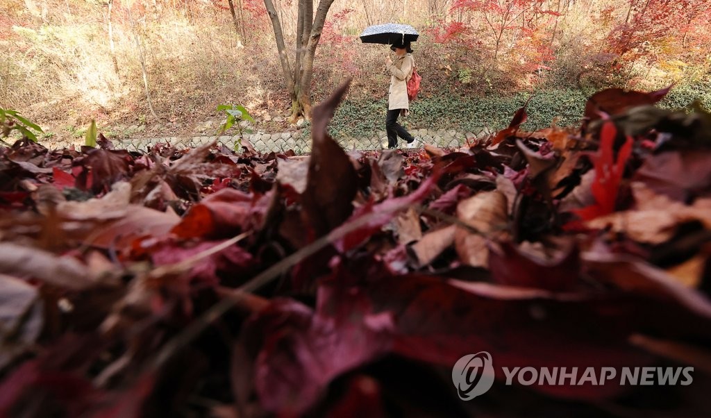 전북 맑다가 오후부터 흐려져…낮 최고 16∼19도