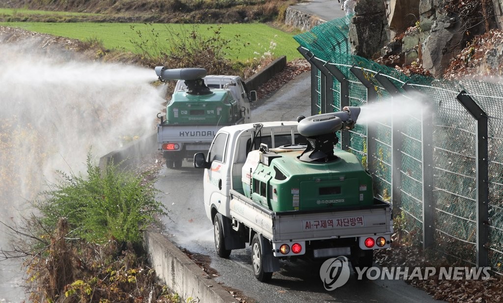 울산 산란계 농장서 AI 항원 검출…6만4천여마리 살처분