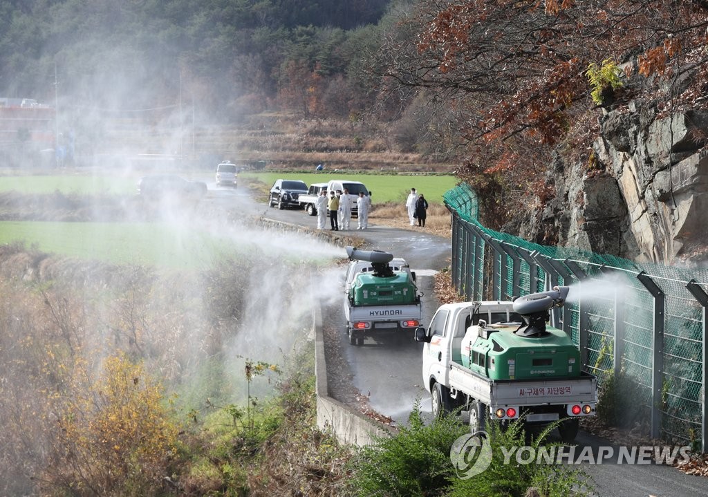 이천 산란계 농장서 AI 항원 검출…고병원성 여부 확인중