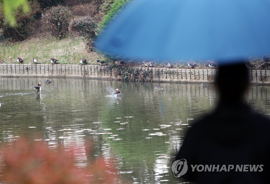 대구·경북 흐리고 비…동해안 20∼60㎜ 내려