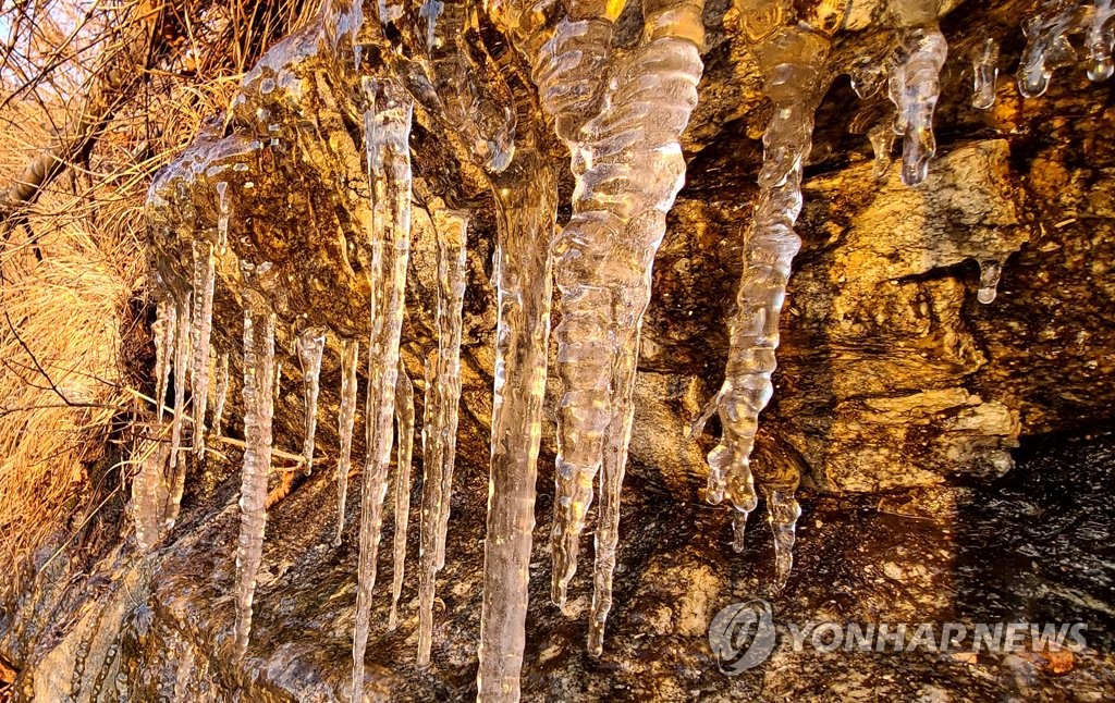 '가는 가을이 아쉬워'…쌀쌀한 날씨에도 유명산·관광지 '북적'