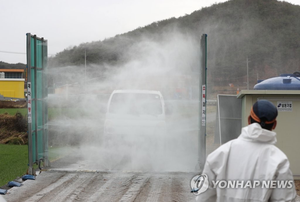 울산 산란계 농장서 고병원성 AI…가금농장 발생 26번째