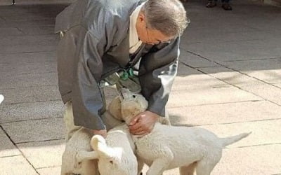 文 풍산개 반환 통보에…與 "월 200 개 관리인 왜 필요한가"