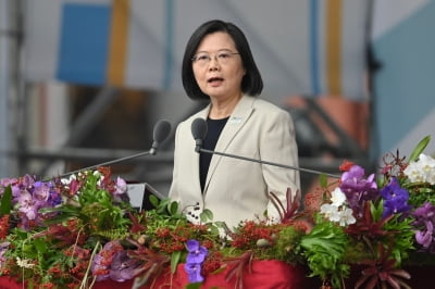 차이잉원 대만 총통, 여당 주석직 사퇴