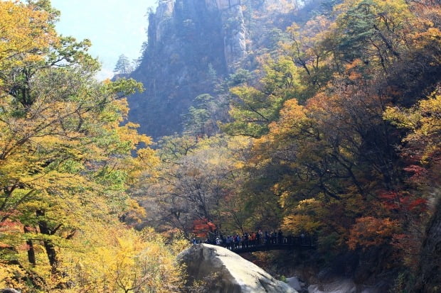 단풍절정 설악산 주전골 / 사진=연합뉴스