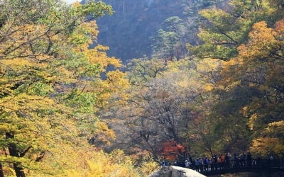 갑작스레 찾아온 겨울…내일 아침 기온 영하권으로 뚝↓