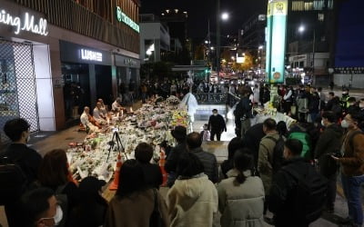 '이태원 참사' 당일, 1개 기동대 용산 야간대기…'현장에는 미투입'