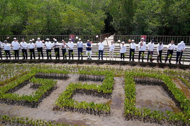 16일 인도네시아 발리에서 열린 맹그로브 식목행사에 참여한 주요 20개국(G20)  정상회의 참가자들. 사진=연합뉴스