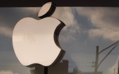 머스크, 애플에 전쟁 선포…"트위터 광고 중단·앱스토어 퇴출 협박"