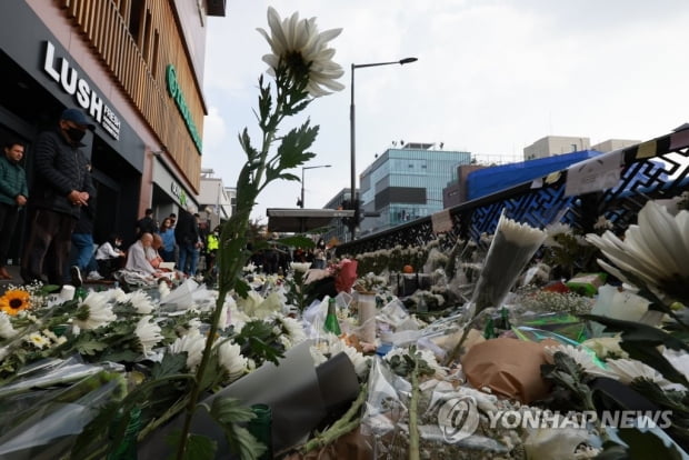 [이태원 참사] 21년전 유사 사고 겪은 일본 전문가 진단은