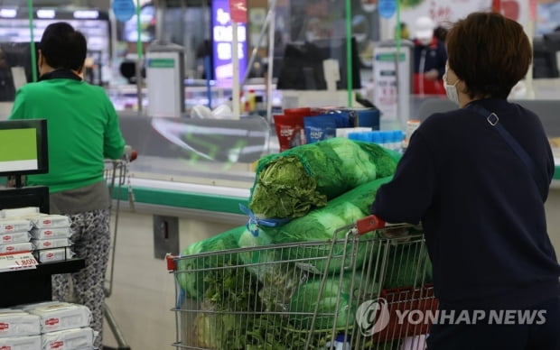 "김장철 배추는 지난해보다 싸고 양념채소는 비쌀듯"