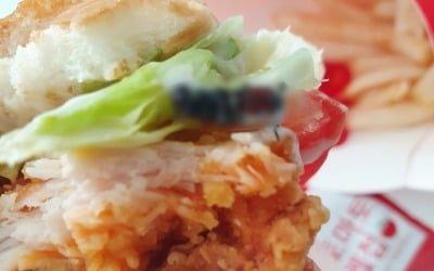 맥도날드 또 위생 논란…햄버거서 '벌레 추정' 이물질 신고