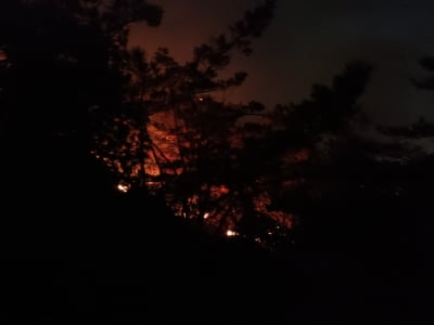 과천 관악산서 불…2시간10여분 만에 주불 진화