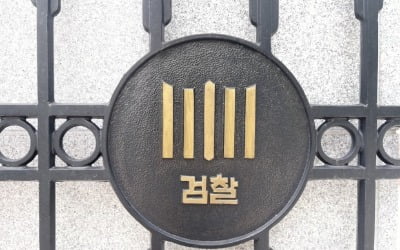 검찰, 대북송금 의혹 아태협 안모 회장 서울서 체포