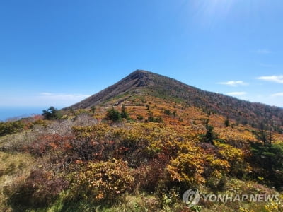 강원도 내 국립공원 15일부터 한 달간 고지대 출입 통제