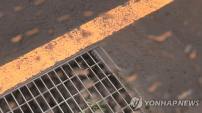 호우에 서울시내 도로 곳곳 침수…낙엽이 하수구 막아