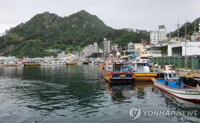 울릉도 저동항 인근서 통발어선 좌초…선원 구조 작업 중