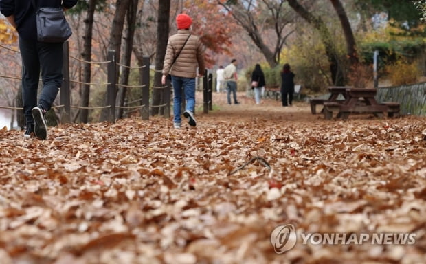 전국 흐리다 차차 맑아져…제주도·전남 남부 오후 비