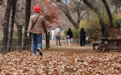 전국 흐리다 차차 맑아져…제주도·전남 남부 오후 비