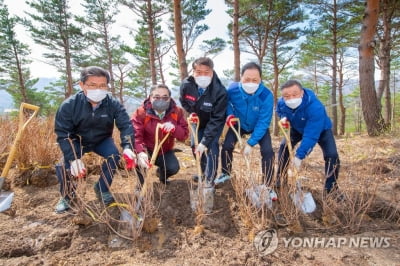 강원세계산림엑스포 내년 5월→9월 개최 연기…봄 대형산불 위험