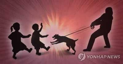 '우리 개가 물지 않았어' 사고 책임 피해 중학생에 떠넘긴 자매