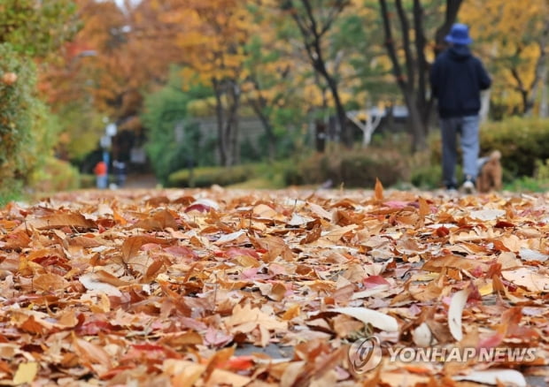 전국 오전에 빗방울…경북 동해안 최대 80㎜