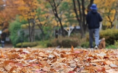 전국 오전에 빗방울…경북 동해안 최대 80㎜