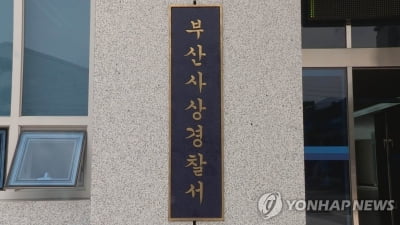 지인 집에서 현금 훔친 20대…반려견 사진 한장에 덜미