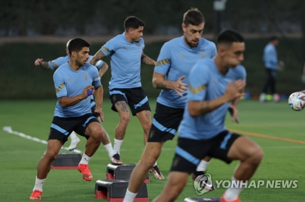 [월드컵] 한국전 전날 여유만만…우루과이, '눈치 게임'으로 즐거운 훈련