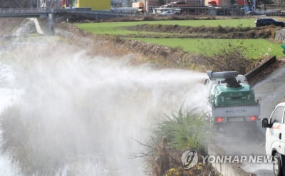 평택 산란계 농장서 고병원성 AI…가금농장 20번째