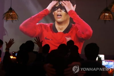 [월드컵] "오랜만의 단체응원 설레"…대구도 "대~한민국"(종합)