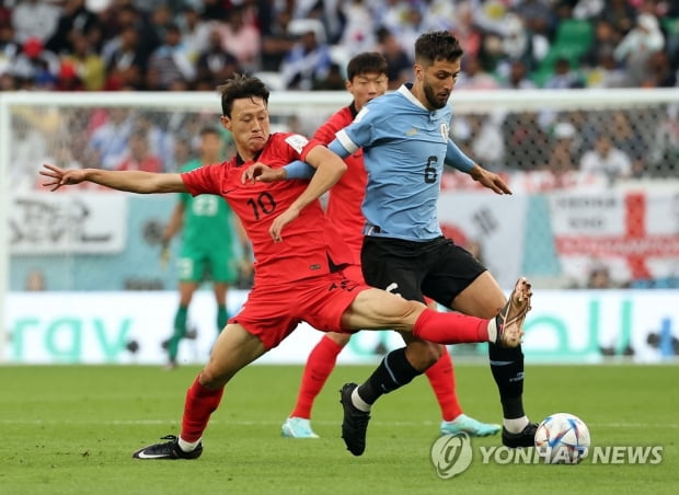 [월드컵] 중국 매체 "한국 경기초반 모습, 아시아팀 중 최고"