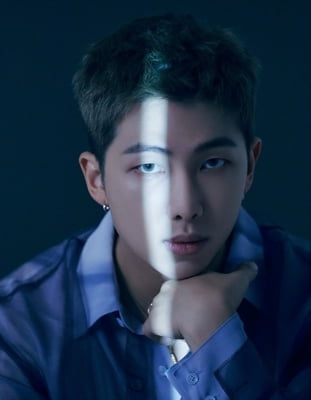 BTS RM, 문화재청 감사패 받아…"국외 유산 보존 기여"