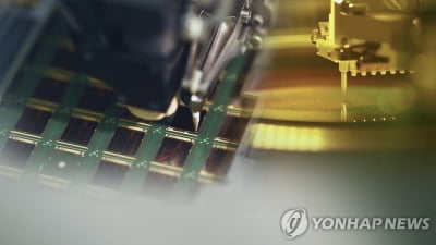 [대체] 경제(對中수출 확 꺾이자 전체 반도체 수출 '휘청'…)