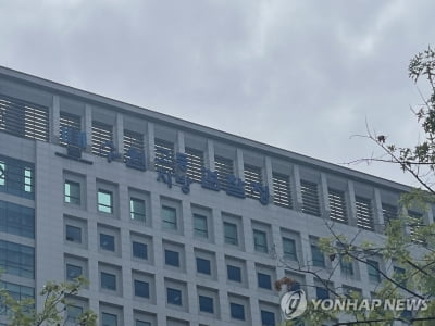 검찰, 50만 달러 대북 송금 혐의 아태협 회장 기소