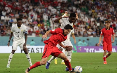 카타르 월드컵 가나전 패배 소식에 치맥주 하락