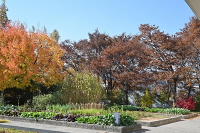 ‘아모레 뷰티파크’에서 지속가능성을 만나다