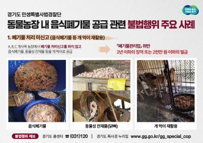 경기도 특사경, 무허가 음식폐기물 수년간 '동물 먹이로 공급한 동물농장 무더기 적발'