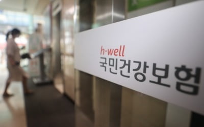 지난해 단기체류 외국인 건강보험 무임승차 '1인당 123만원'