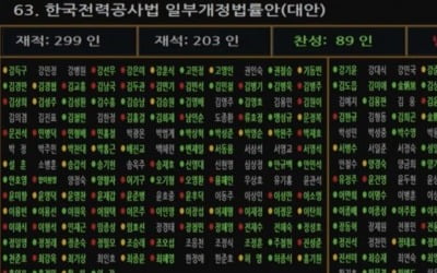 與 의원 절반, '한전법' 표결 불참… 김기현·안철수·'윤핵관' 포함