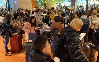 태조이방원→엔터·유통·여행…중국 관련주로 '머니무브'
