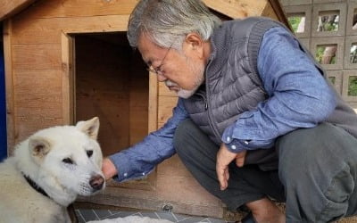 文 "마루가 저세상으로 떠났다"…반려견 사망 소식 알려