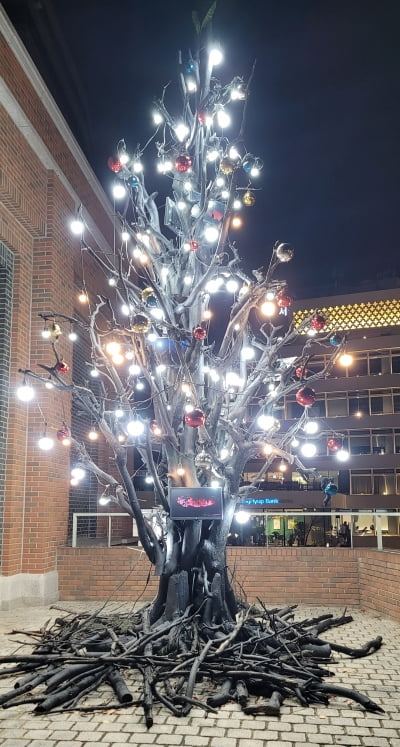 서울 명동성당 앞에 세워져 있는 블랙트리. /천주교 서울대교구 문화홍보국 제공