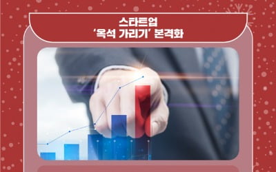 2022년 벤처업계 10대 뉴스는…스타트업 옥석가리기 '본격화'