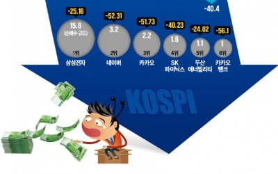 "이사님이나 겪었던 하락장을 내가 겪다니"…동학개미 올해 증시 수익률 -22%