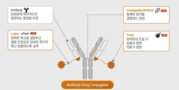 레고켐바이오사이언스의 항체약물접합체(ADC) 플랫폼 설명자료. 레고켐바이오사이언스 제공