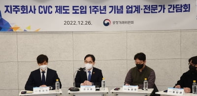 지주사 CVC, 내년 2500억 투자 계획…"액셀러레이터 보유도 허용"