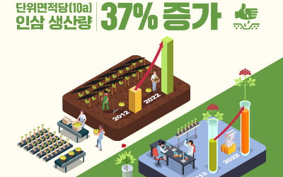 "심봤다"…KGC인삼공사, '축구장 1100배' 밭서 역대 최다 인삼 수확